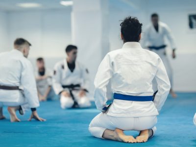Martial Arts in the Executive Protection World