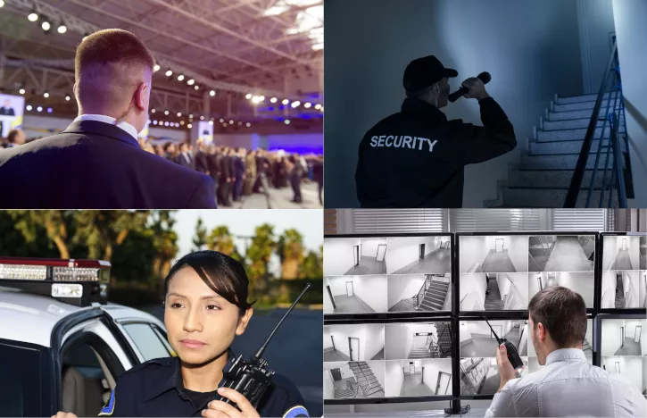 Various Specialties in the Security Field